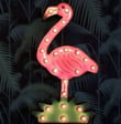 Colorful Dresden, The Flamingo cover art suggests vibrant royalty free music from Soundstripe’s audio library.
